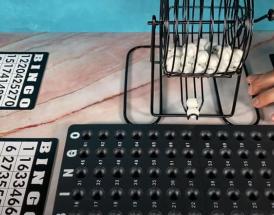 bingo en casa